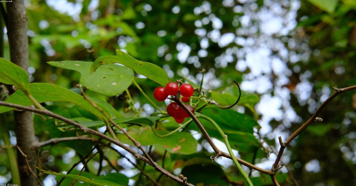 Nachhaltigkeit 2025: Die 7 wichtigsten Trends fuer ein umweltbewusstes Leben in Deutschland