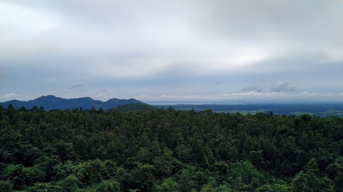 Borneo rainforest – nachhaltige abenteuerreisen borneo