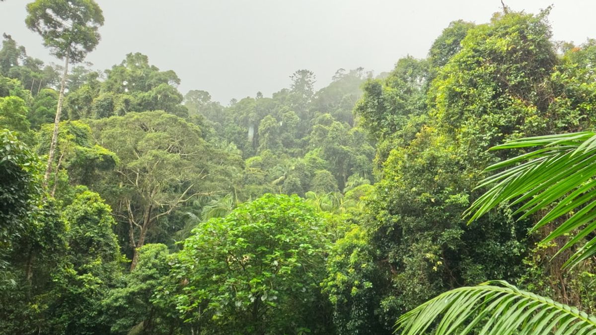 Costa Rica biodiversity – nachhaltige kunstprojekte luxusreisen