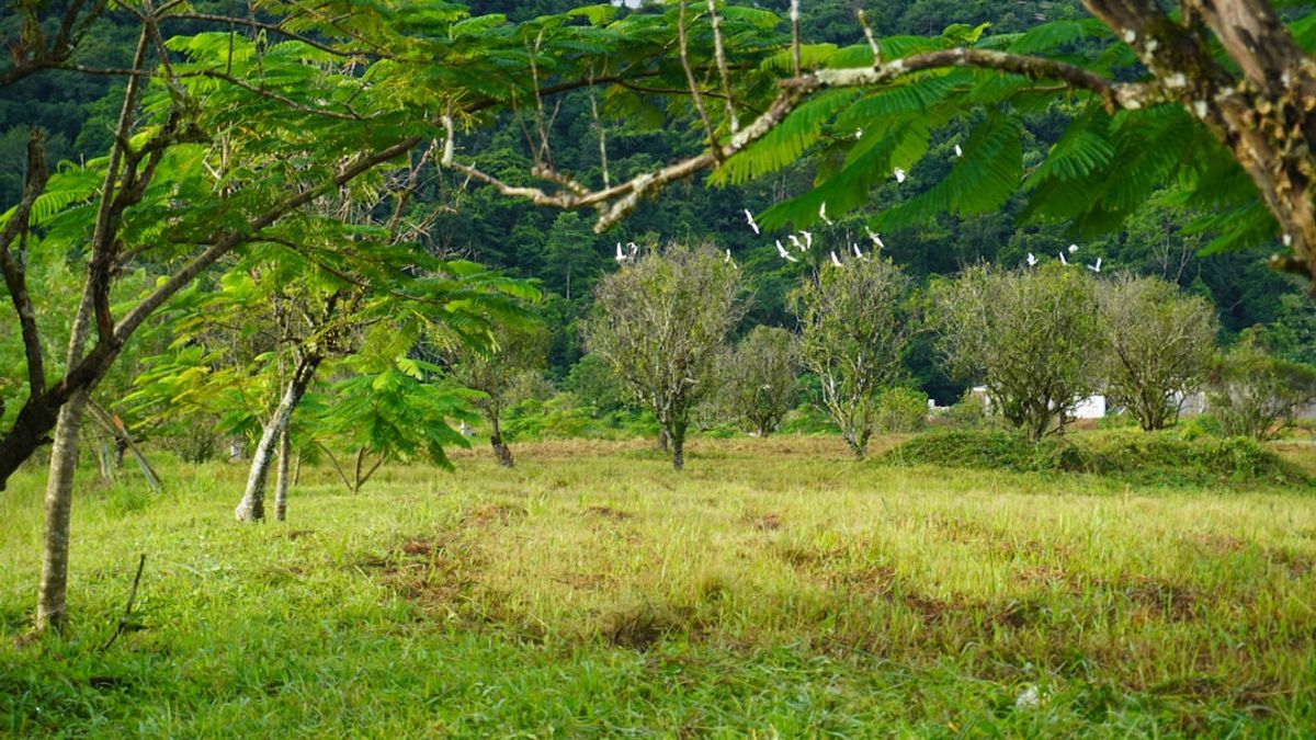 Costa Rica organic farming – regenerative landwirtschaft luxusreisen