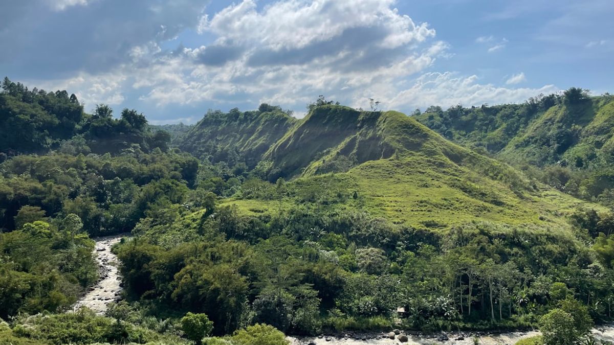 Danum Valley Borneo – nachhaltige abenteuerreisen borneo