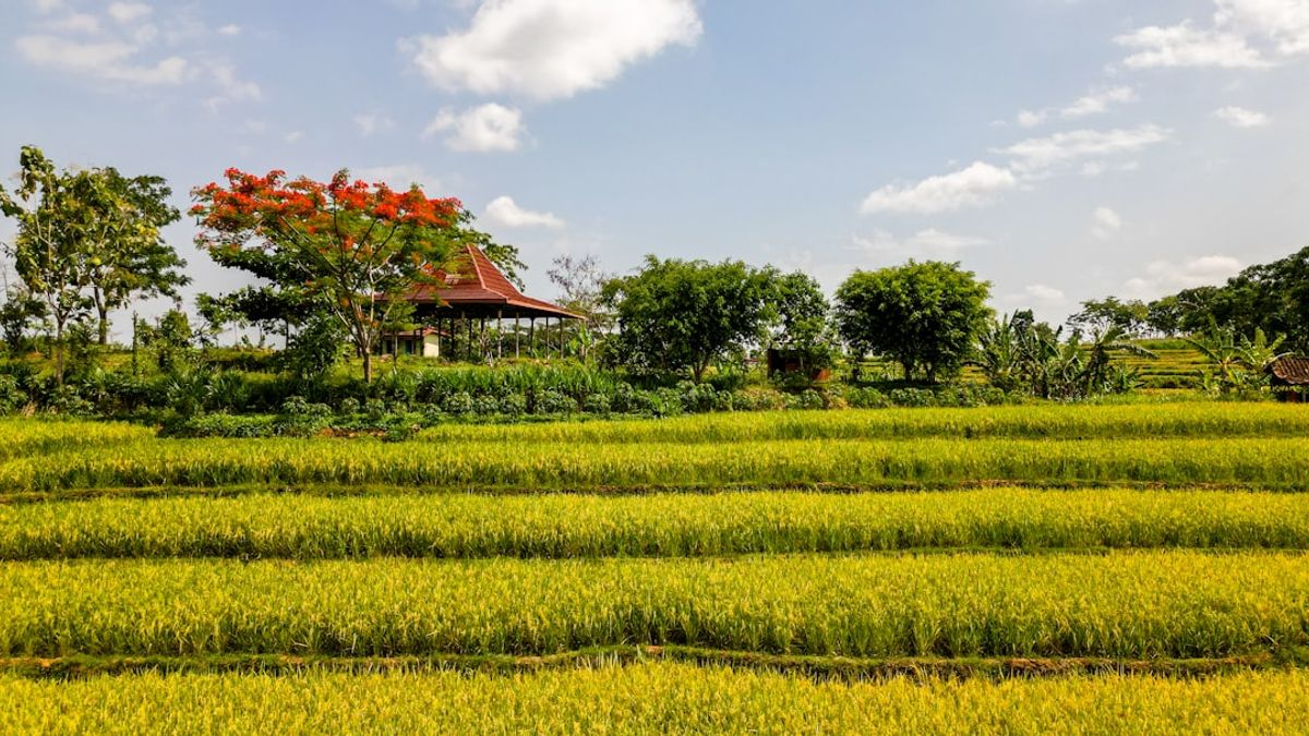 luxury travel regenerative agriculture – regenerative landwirtschaft luxusreisen