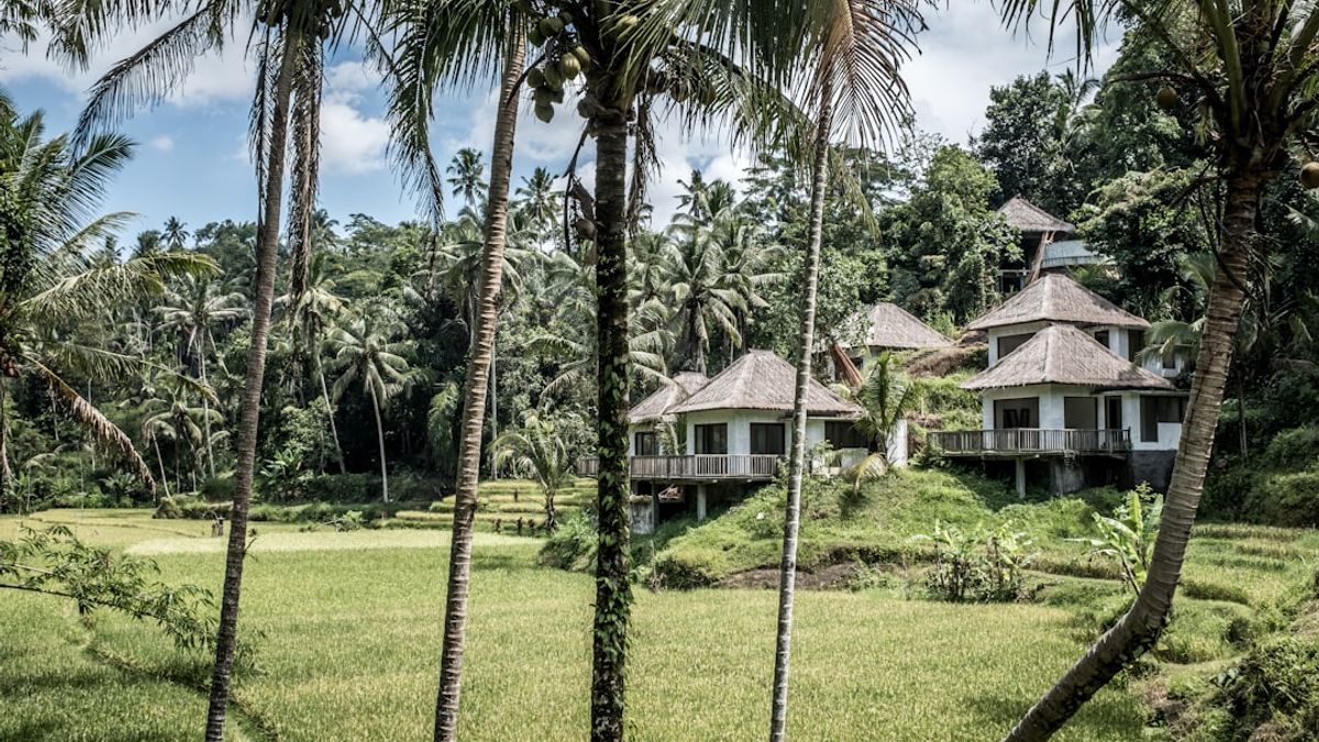 Nachhaltige Abenteuerreisen in Borneo – nachhaltige abenteuerreisen borneo