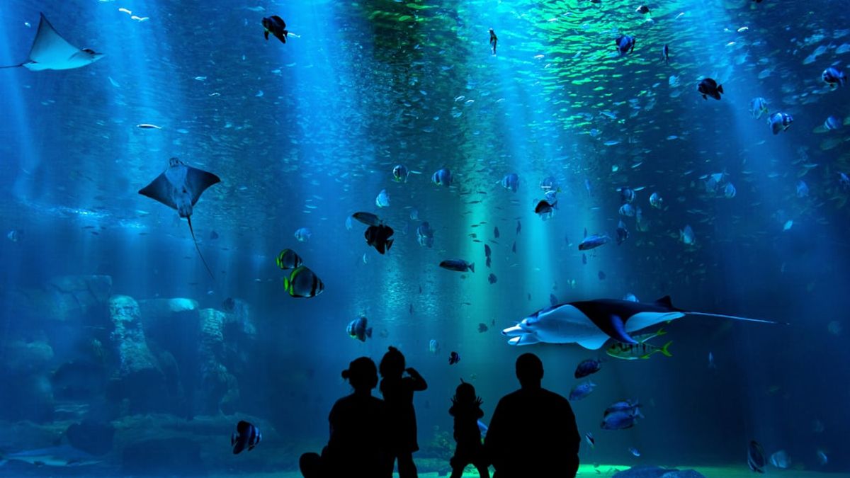 Unterwasser-Resorts Luxusreisen 2025