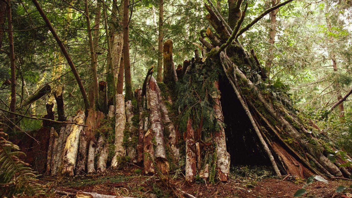 Digitale Nomaden und Indigene Gemeinschaften: Neue Synergien