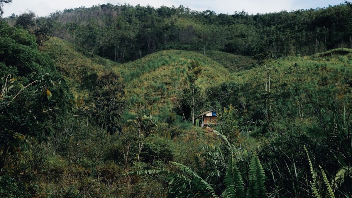 indigenous communities nature – indigene kulturen nachhaltige reisen